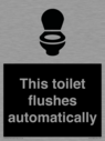 this-toilet-flushes-automatically~